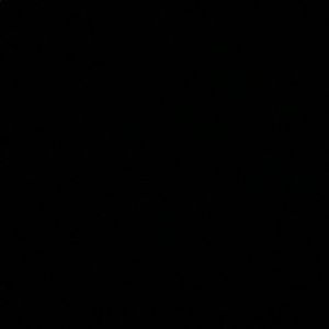 Meet your Posher, Lilly